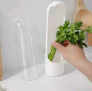 Recipiente Conservador de Ervas